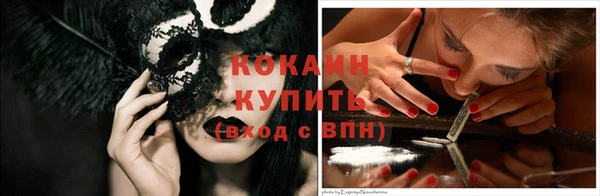 гидра Михайловка