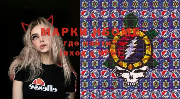 индика Алексеевка
