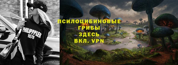 индика Алексеевка