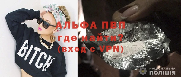 стаф Алексин
